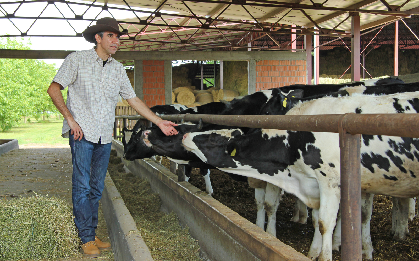 O que laticínios ganham ao investir na base produtiva? Estratégias de fidelização e qualidade - Cia do Leite - Transformamos qualidade do leite e produtividade das fazendas